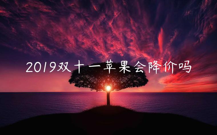 2019雙十一蘋果會降價嗎